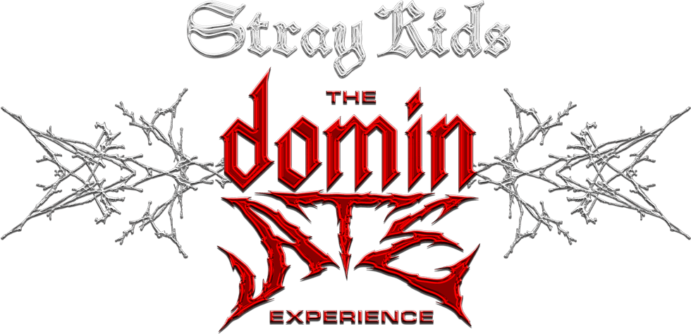 映画『Stray Kids : The dominATE Experience』