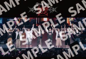 映画『Stray Kids : The dominATE Experience』最新情報